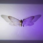 motion detection technology explained